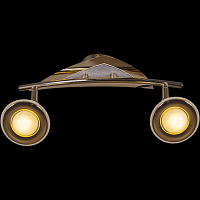 Купить Спот Reluce 00640-0.3-02DA SWT+FGD в Туле