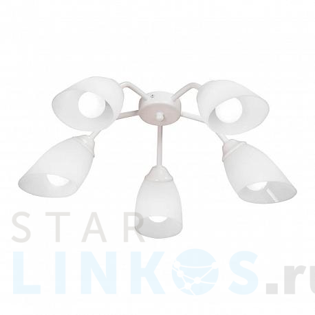 Купить Потолочная люстра Vitaluce V3195/5PL за 3 067 руб. в Туле фото 2 Купить с доставкой Потолочная люстра Vitaluce V3195/5PL в Туле фото 2