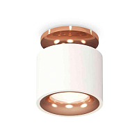 Купить Комплект накладного светильника Ambrella light Techno Spot XS7510141 SWH/PPG белый песок/золото розовое полированное (N7930, C7510, N7015) в Туле