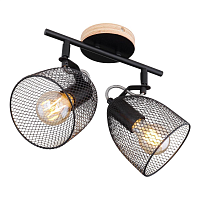 Купить Спот Globo Josina 54034-2 в Туле