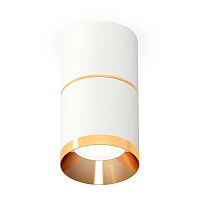 Купить Комплект потолочного светильника Ambrella light Techno Spot XS (C7401, A2072, N7034) XS7401201 в Туле