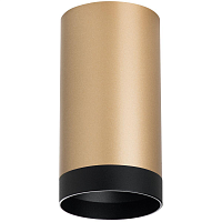 Купить Потолочный светильник Lightstar Rullo (214440+203437) R440437 в Туле