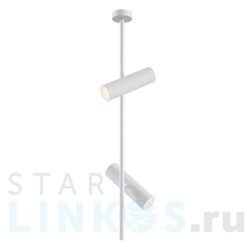 Купить с доставкой Потолочный светильник Maytoni Elti C021CL-02W в Туле