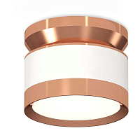 Купить Комплект накладного светильника Ambrella light Techno Spot XS (N8912, C8101, N8126) XS8101065 в Туле