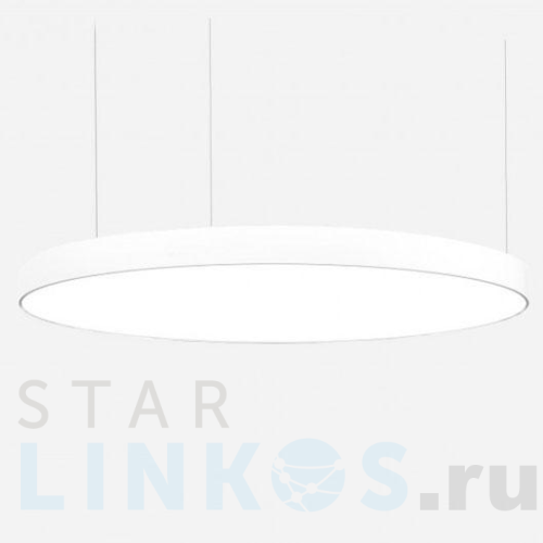 Купить Подвесной светодиодный светильник Siled Ring 7370790 за 71 200 руб. в Туле Купить с доставкой Подвесной светодиодный светильник Siled Ring 7370790 в Туле