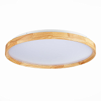 Купить Потолочный сетодиодный светильник Evoluce Delia SLE201382-01 в Туле