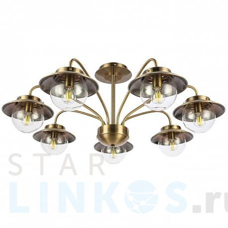 Купить Потолочная люстра Evoluce Garonni SLE110102-07 за 16 830 руб. в Туле фото 2 Купить с доставкой Потолочная люстра Evoluce Garonni SLE110102-07 в Туле фото 2