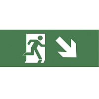 Купить Пиктограмма ЭРА INFO-DBA-006 Б0048458 в Туле