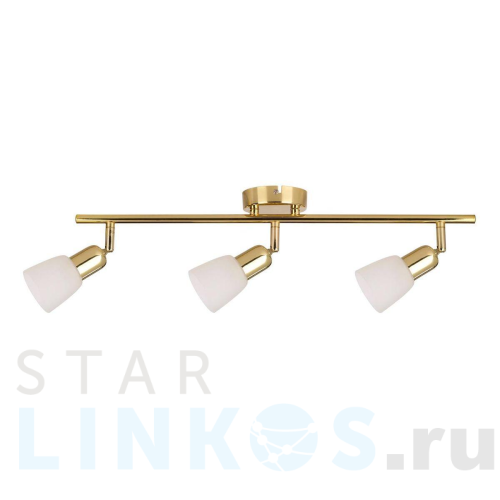 Купить Спот Escada 5039/3PA за 4 300 руб. в Туле Купить с доставкой Спот Escada 5039/3PA в Туле