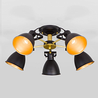 Купить Потолочная люстра Eurosvet Denley 70112/5 черный в Туле