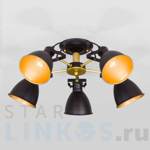 Купить Потолочная люстра Eurosvet Denley 70112/5 черный за 10 500 руб. в Туле Купить с доставкой Потолочная люстра Eurosvet Denley 70112/5 черный в Туле