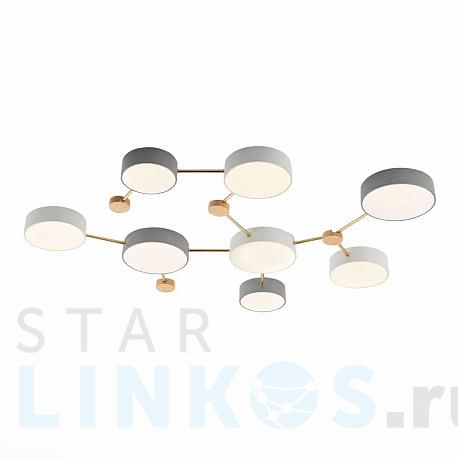 Купить Потолочный светильник Evoluce DOSSENA SLE600102-08 за 23 330 руб. в Туле фото 2 Купить с доставкой Потолочный светильник Evoluce DOSSENA SLE600102-08 в Туле фото 2