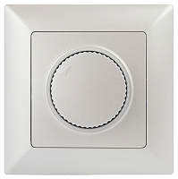 Купить Диммер поворотный ЭРА Intro Solo 600W перламутровый 4-401-06 Б0053710 в Туле