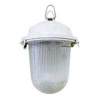 Купить Уличный подвесной светодиодный светильник TDM Electric Народный ДСП 02-6-001 SQ0329-1064 в Туле