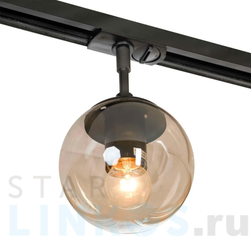 Купить с доставкой Трековый светильник Lussole LOFT HARTWELL LSP-8167-TAB в Туле
