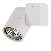 Купить Потолочный светильник Lightstar Illumo XI Bianco 051026 в Туле