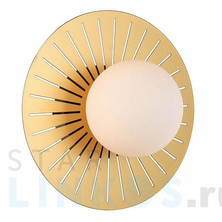 Купить Настенный светильник Favourite Sonnenblume 2356-1W за 4 600 руб. в Туле фото 2 Купить с доставкой Настенный светильник Favourite Sonnenblume 2356-1W в Туле фото 2