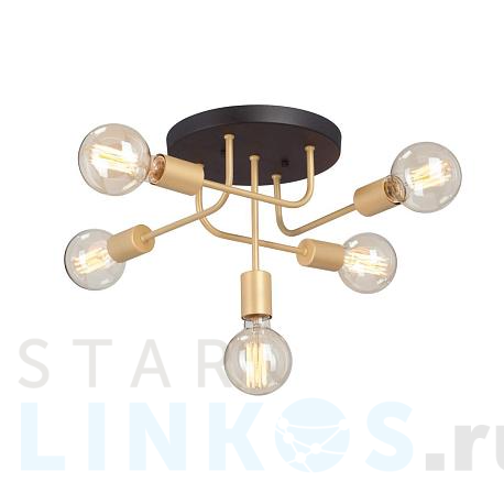 Купить Потолочная люстра Vitaluce V3998-8/5PL за 5 887 руб. в Туле фото 2 Купить с доставкой Потолочная люстра Vitaluce V3998-8/5PL в Туле фото 2