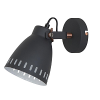 Купить Спот Camelion WML-428-1 C02 13057 в Туле