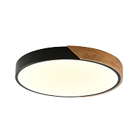 Купить Потолочный светильник Zortes ALBERRO ZRS.01287.24 в Туле