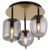 Купить Потолочная люстра Lussole LOFT LSP-8730 в Туле