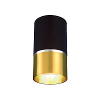 Купить Потолочный светильник Elektrostandard DLN106 GU10 золото a047729 в Туле