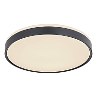 Купить Потолочный светодиодный светильник Globo Sonny 41587-24 в Туле