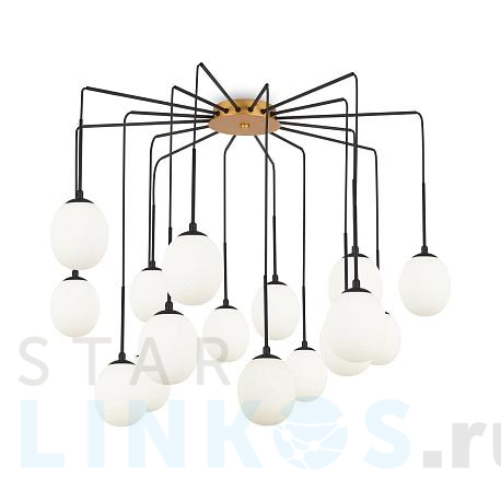 Купить Подвесная люстра Maytoni Branch MOD176PL-16G за 41 590 руб. в Туле фото 2 Купить с доставкой Подвесная люстра Maytoni Branch MOD176PL-16G в Туле фото 2