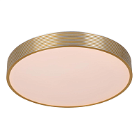 Купить Потолочный светодиодный светильник Lucide Malin 79184/24/02 в Туле