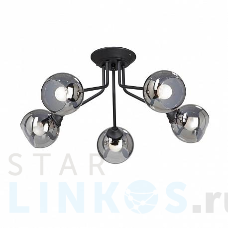 Купить Потолочная люстра Vitaluce V4724-1/5PL за 7 577 руб. в Туле фото 2 Купить с доставкой Потолочная люстра Vitaluce V4724-1/5PL в Туле фото 2