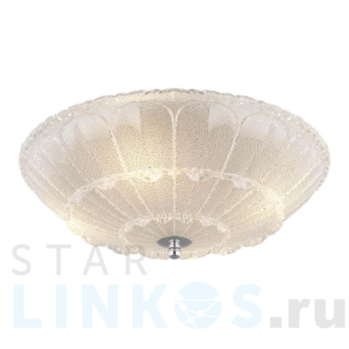 Купить с доставкой Потолочный светильник Lightstar Zucche 820244 в Туле
