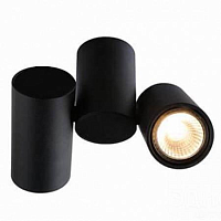 Купить Спот Arte Lamp Gavroche A1511PL-2BK в Туле