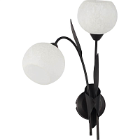 Купить Бра Lussole Bagheria LSF-6291-02 в Туле