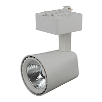 Купить Трековый светодиодный светильник ЭРА Trek TR4 - 10 WH Б0032112 в Туле