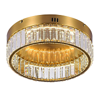 Купить Потолочный светодиодный светильник MyFar Irina MR2010-1CL в Туле