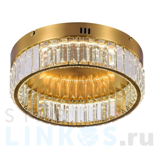 Купить Потолочный светодиодный светильник MyFar Irina MR2010-1CL за 18 995 руб. в Туле Купить с доставкой Потолочный светодиодный светильник MyFar Irina MR2010-1CL в Туле