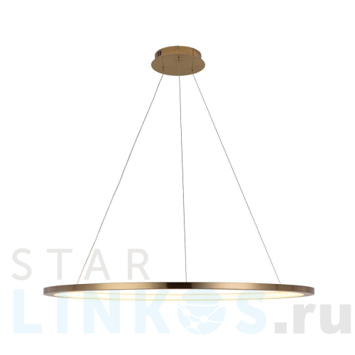 Купить Подвесной светодиодный светильник Loft IT Ring 10014XL за 30 050 руб. в Туле Купить с доставкой Подвесной светодиодный светильник Loft IT Ring 10014XL в Туле