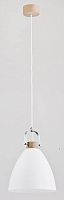 Купить Подвесной светильник Alfa Hermina 9642 в Туле