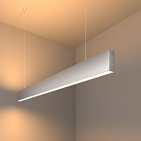 Купить Подвесной светодиодный светильник Elektrostandard LSG-01-2-8 103-32-3000-MS a041520 в Туле