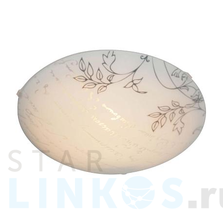 Купить Настенно-потолочный светильник Apeyron 16-183 за 676 руб. в Туле фото 2 Купить с доставкой Настенно-потолочный светильник Apeyron 16-183 в Туле фото 2