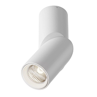 Купить Потолочный светодиодный светильник Maytoni Technical Dafne C027CL-L10W4K в Туле