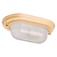 Купить Настенно-потолочный светильник TDM Electric Терма НББ 03-60-021 SQ0303-0443 в Туле