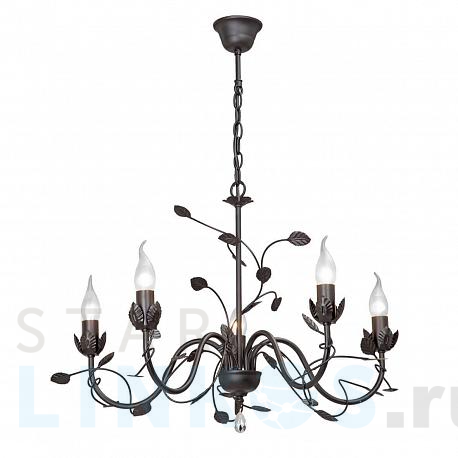 Купить Подвесная люстра Vitaluce V1661-1/5 за 7 337 руб. в Туле фото 2 Купить с доставкой Подвесная люстра Vitaluce V1661-1/5 в Туле фото 2