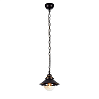 Купить Подвесной светильник Arte Lamp Grazioso A4577SP-1CK в Туле