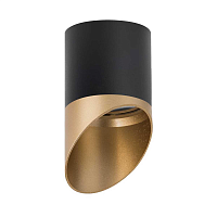 Купить Потолочный светильник Lightstar Rullo (213487+201490) R34871490 в Туле