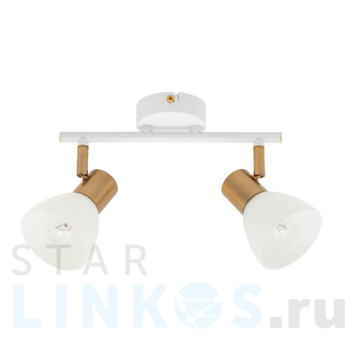 Купить Спот Arte Lamp Falena A3117PL-2WH за 2 390 руб. в Туле Купить с доставкой Спот Arte Lamp Falena A3117PL-2WH в Туле
