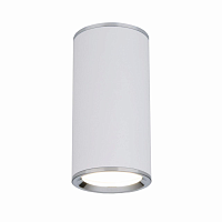 Купить Потолочный светильник Elektrostandard DLN101 GU10 WH белый a043967 в Туле