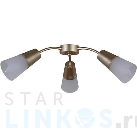 Купить Потолочная люстра Reluce 01266-0.3-03B GOLD за 1 920 руб. в Туле фото 2 Купить с доставкой Потолочная люстра Reluce 01266-0.3-03B GOLD в Туле фото 2