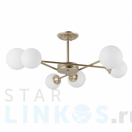 Купить Потолочная люстра Arte Lamp Marco A2703PL-6SG за 11 490 руб. в Туле фото 2 Купить с доставкой Потолочная люстра Arte Lamp Marco A2703PL-6SG в Туле фото 2