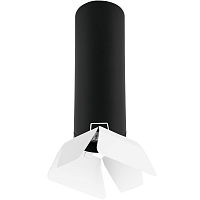 Купить Потолочный светильник Lightstar Rullo (214497+202436) R497436 в Туле